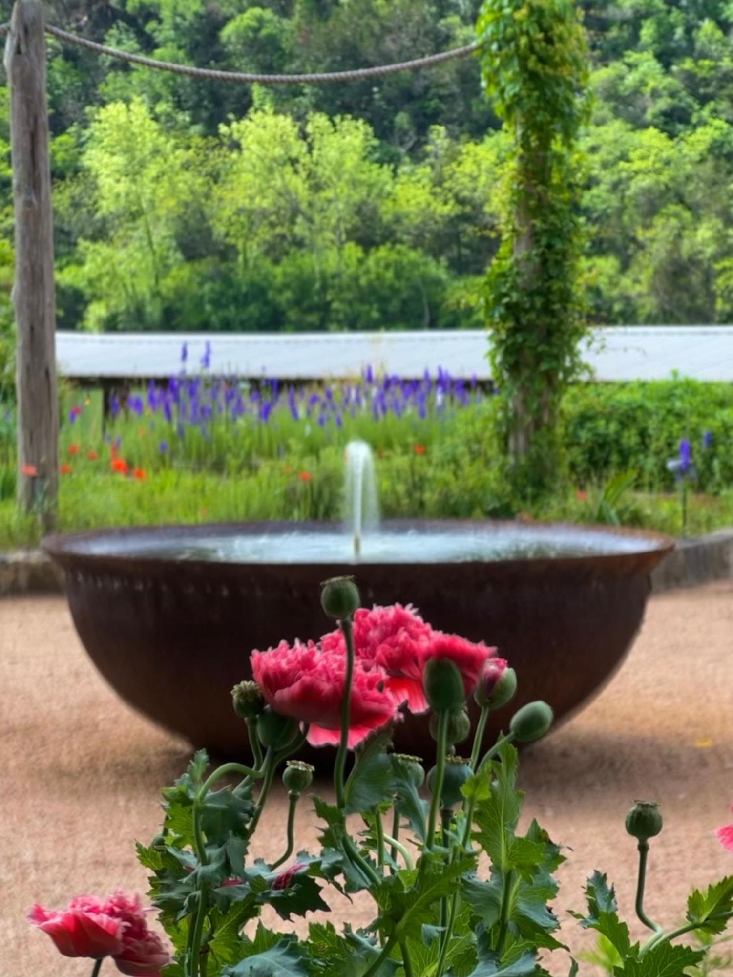 Lake Austin Spa Resort Εξωτερικό φωτογραφία