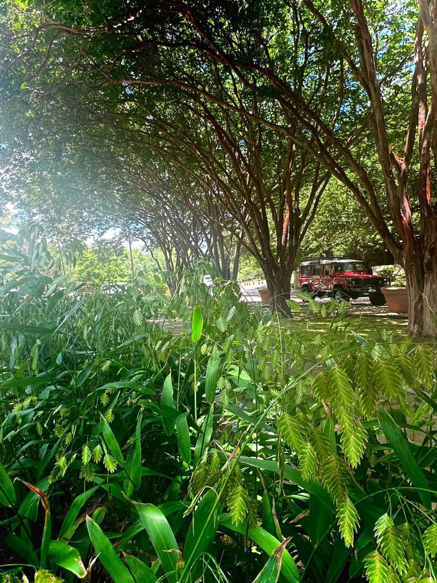 Lake Austin Spa Resort Εξωτερικό φωτογραφία