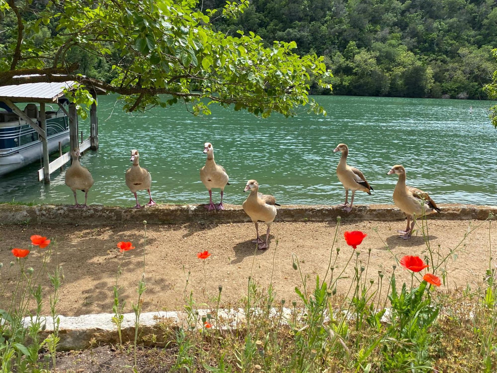Lake Austin Spa Resort Εξωτερικό φωτογραφία
